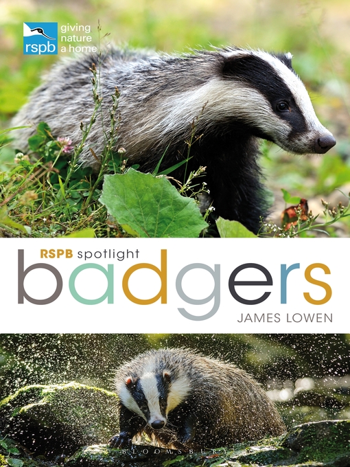Title details for RSPB Spotlight by James Lowen - Available